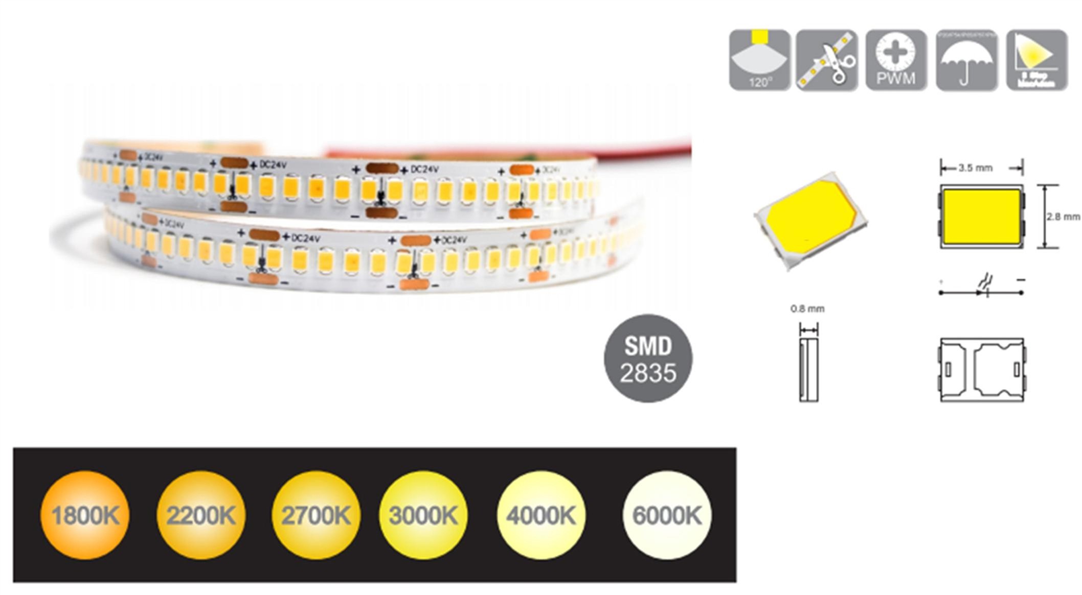 product-2116-1165 product-2116-1165